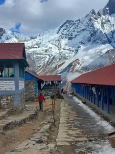 Kuari Pass Trek: History,How to Reach,Itinerary and Best Time to Visit